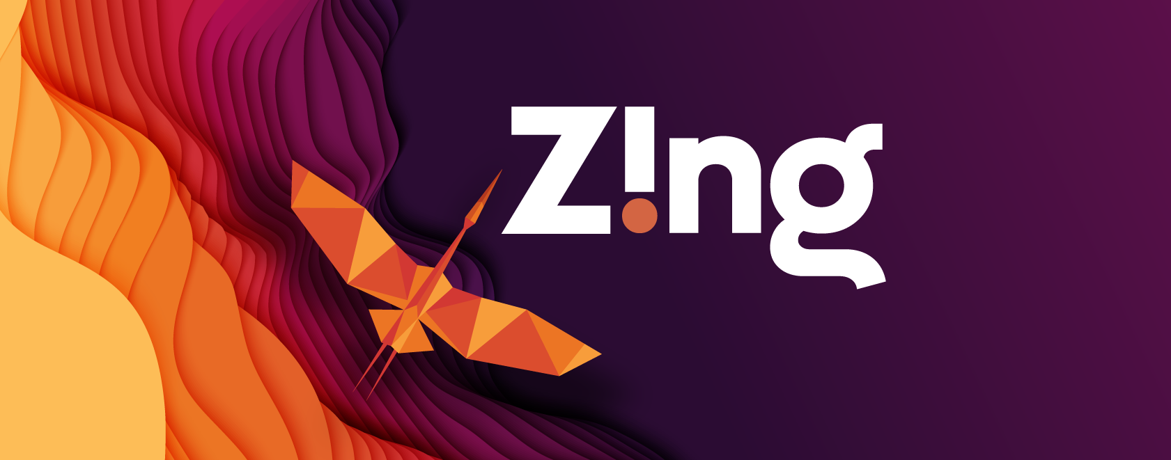 Z!ng 2025 